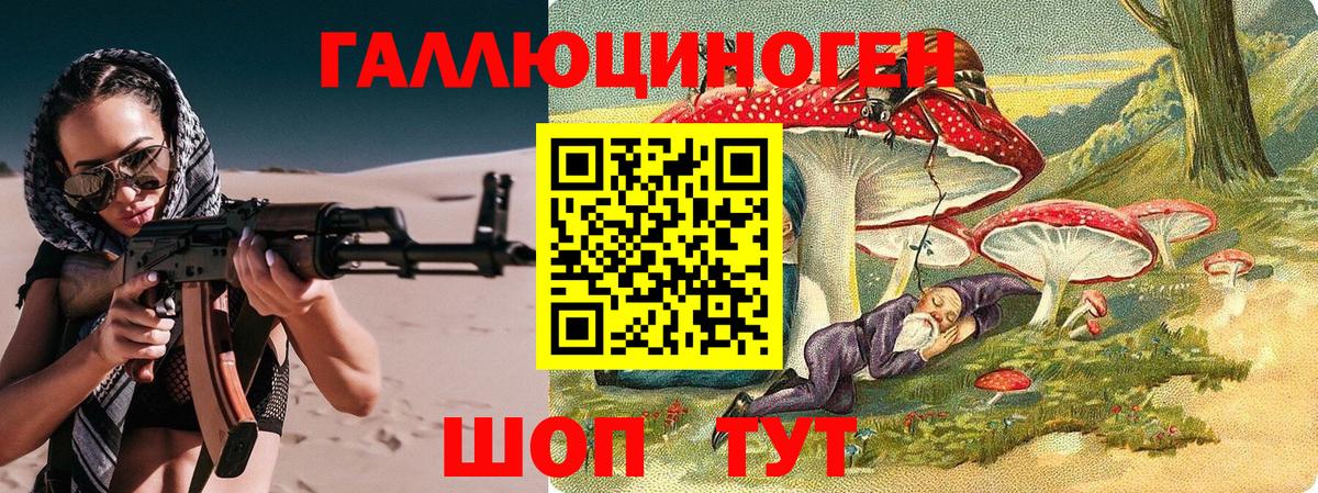 Псилоцибиновые грибы Cubensis Вязники
