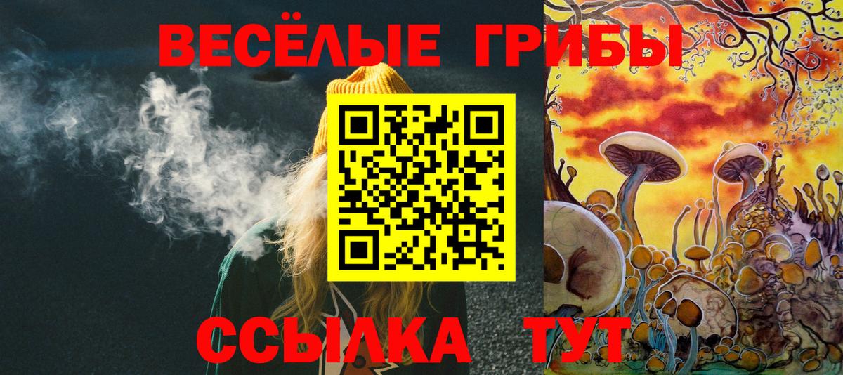Псилоцибиновые грибы Psilocybine cubensis  Вход с VPN  Вязники 