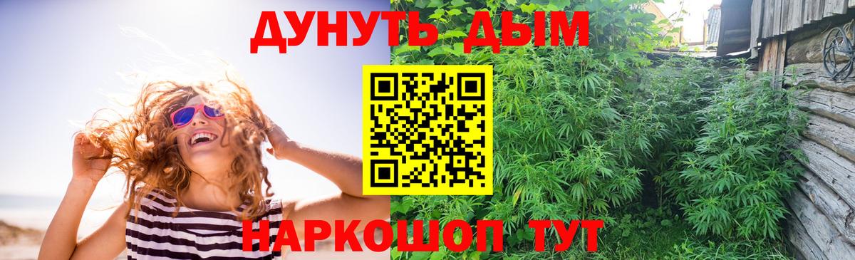 Марихуана ГИДРОПОН  Бошки Шишки сатива  Вход с VPN  МАРИХУАНА White Widow  Вязники  Каннабис гибрид 
